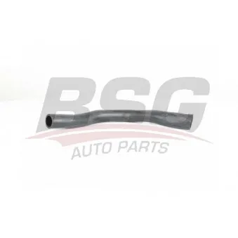 Gaine de suralimentation BSG BSG 90-720-165