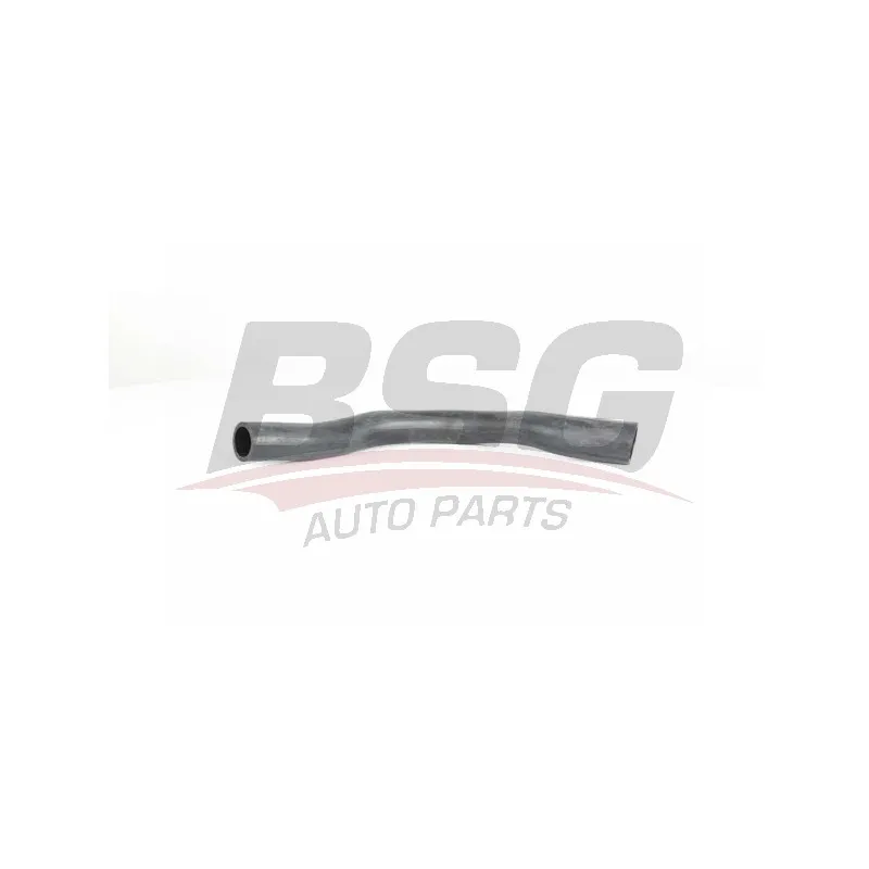 Gaine de suralimentation BSG BSG 90-720-165