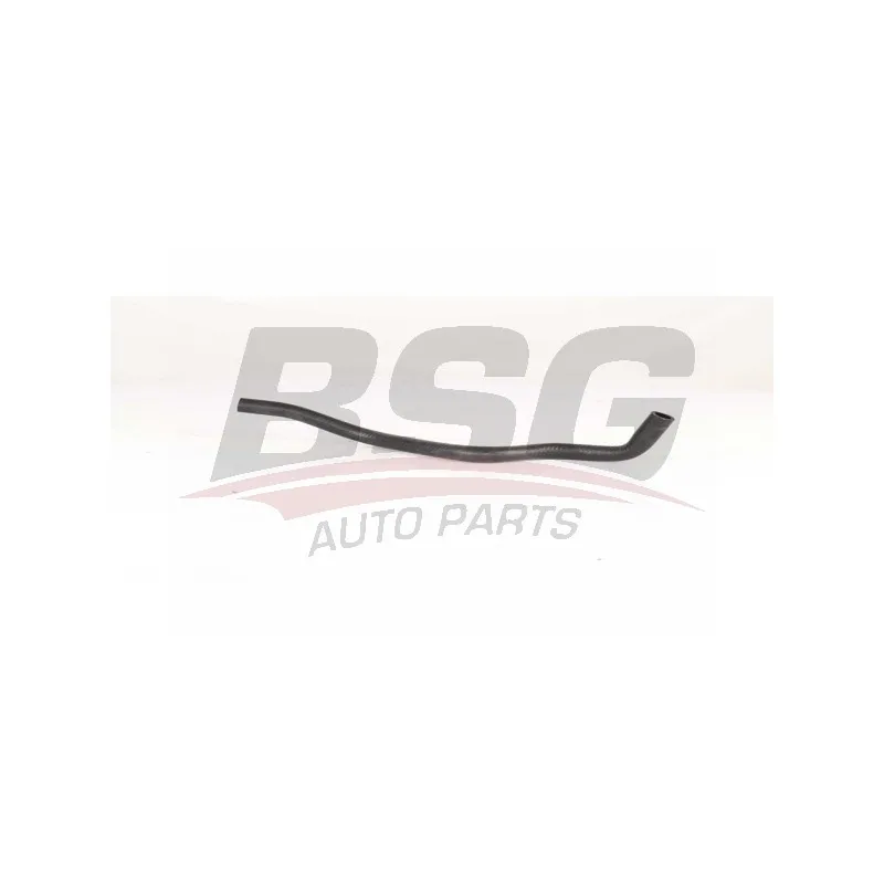 Durite de radiateur BSG BSG 90-720-166