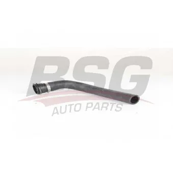 Durite de radiateur BSG BSG 90-720-169