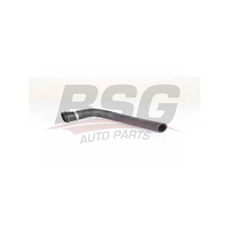 Durite de radiateur BSG BSG 90-720-169