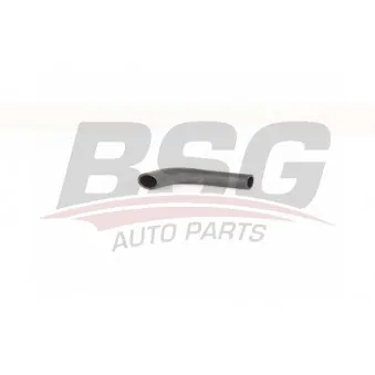 Durite de radiateur BSG BSG 90-720-174