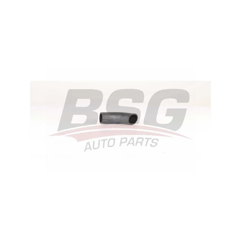Gaine de suralimentation BSG BSG 90-720-177