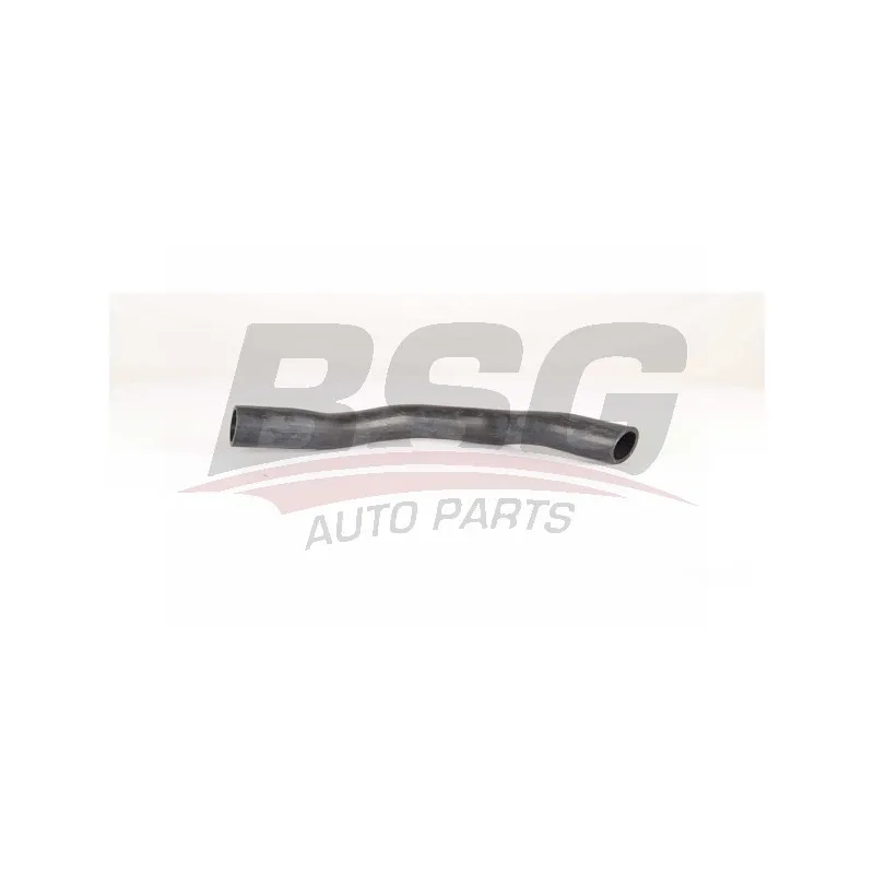 Gaine de suralimentation BSG BSG 90-720-181