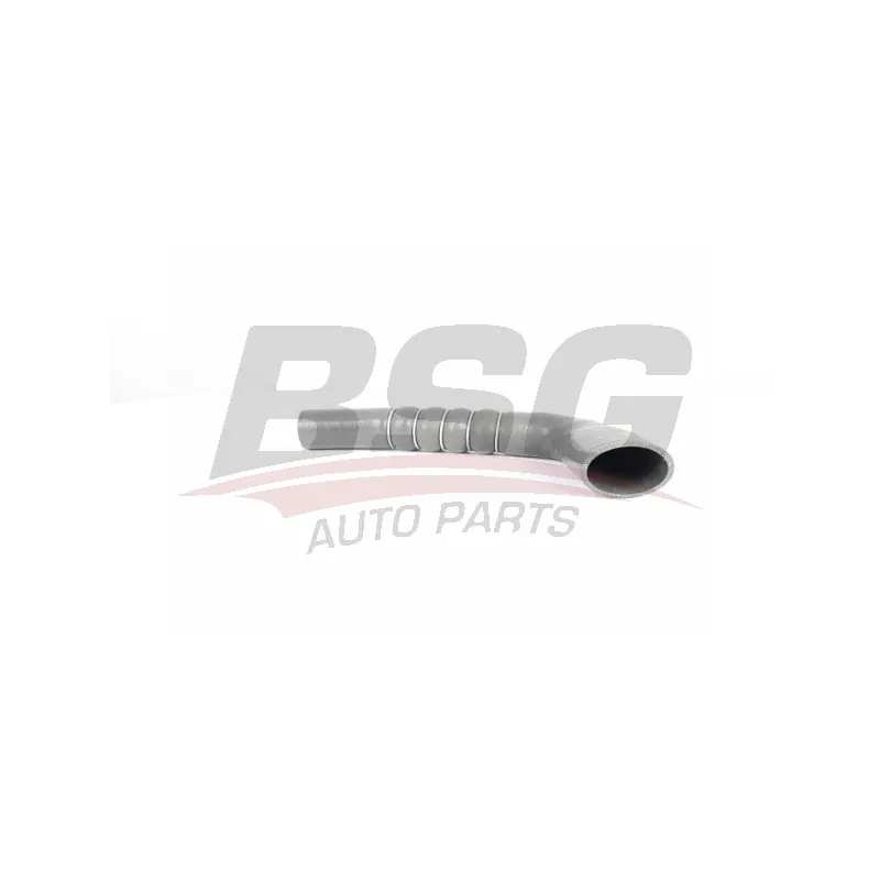 Gaine de suralimentation BSG BSG 90-720-185
