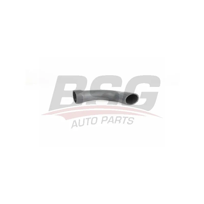 Gaine de suralimentation BSG BSG 90-720-189
