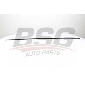 Baguette et bande protectrice, porte BSG BSG 90-924-045