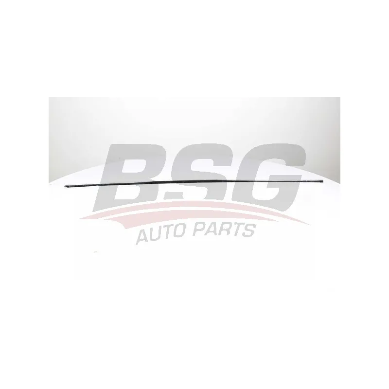 Baguette et bande protectrice, porte BSG BSG 90-924-045