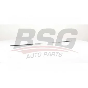 Baguette et bande protectrice, porte BSG BSG 90-924-047