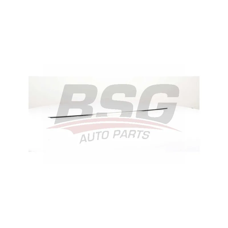 Baguette et bande protectrice, porte BSG BSG 90-924-047