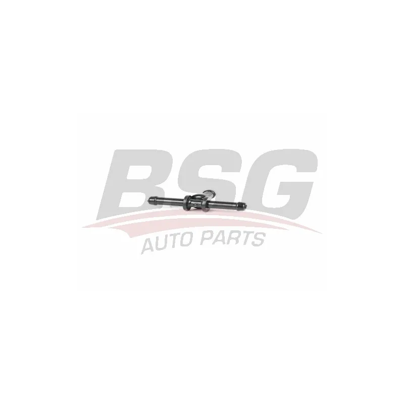 Bride de liquide de refroidissement BSG BSG 90-995-031