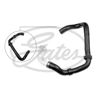 Durite de radiateur GATES 05-4579