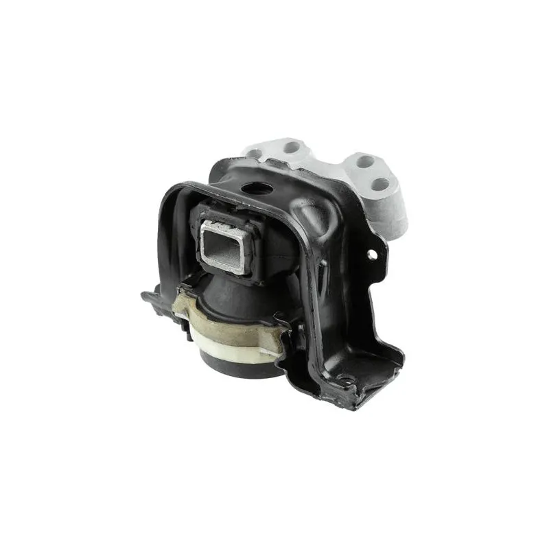 Support moteur LEMFORDER 42114 01