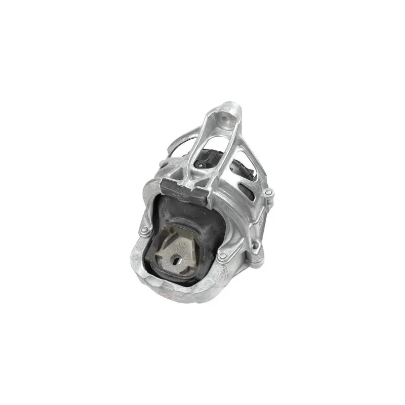 Support moteur LEMFORDER 42419 01