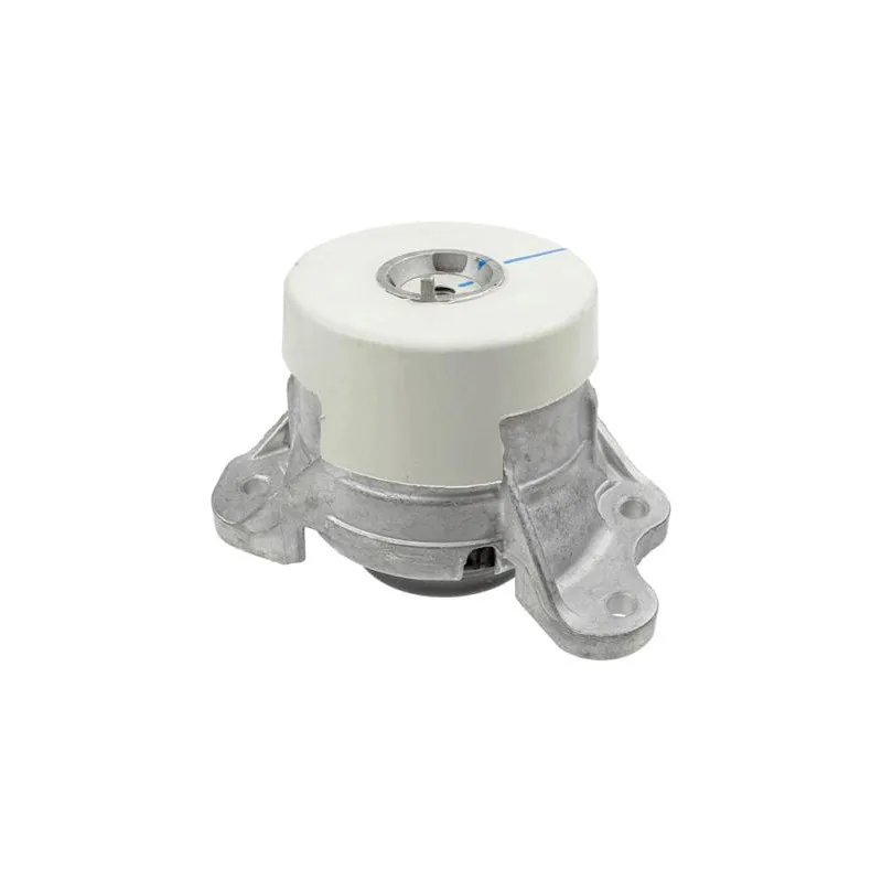 Support moteur LEMFORDER 42570 01