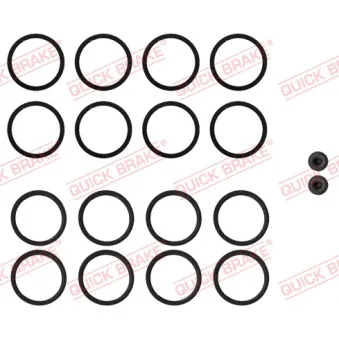 Kit de réparation, étrier de frein QUICK BRAKE 114-0115