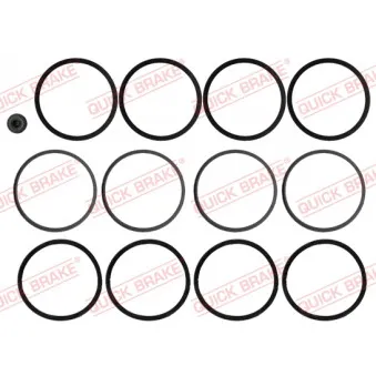 Kit de réparation, étrier de frein QUICK BRAKE 114-0197
