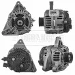 Alternateur BORG & BECK BBA2181 - Visuel 1