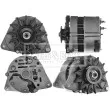 Alternateur BORG & BECK BBA2222 - Visuel 2