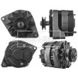 Alternateur BORG & BECK BBA2254 - Visuel 1