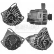 Alternateur BORG & BECK BBA2535 - Visuel 1
