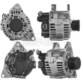 Alternateur BORG & BECK BBA2976