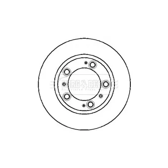 Jeu de 2 disques de frein arrière BORG & BECK BBD4205