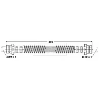 Flexible de frein BORG & BECK BBH6250
