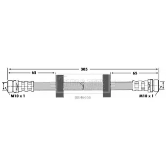 Flexible de frein BORG & BECK BBH6666