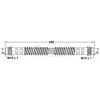 Flexible de frein BORG & BECK BBH6689