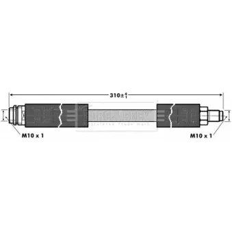 Flexible de frein BORG & BECK BBH6810