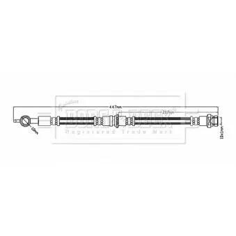 Flexible de frein BORG & BECK BBH6816