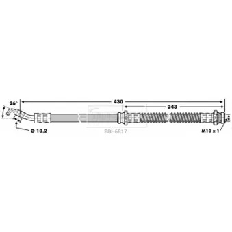 Flexible de frein BORG & BECK BBH6817