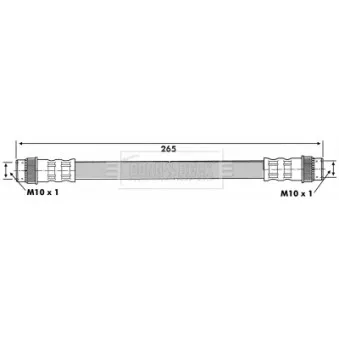 Flexible de frein BORG & BECK BBH6831