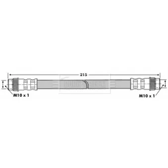 Flexible de frein BORG & BECK BBH6841