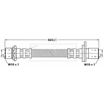 Flexible de frein BORG & BECK BBH6855
