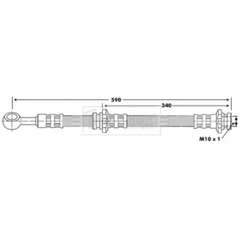 Flexible de frein BORG & BECK BBH6881
