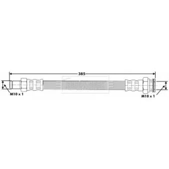 Flexible de frein BORG & BECK BBH6912