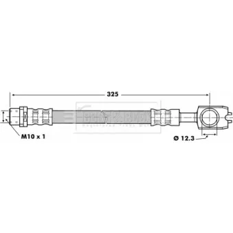 Flexible de frein BORG & BECK BBH6917
