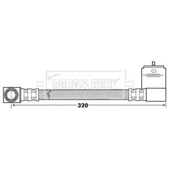 Flexible de frein BORG & BECK BBH6933