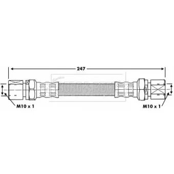 Flexible de frein BORG & BECK BBH6945