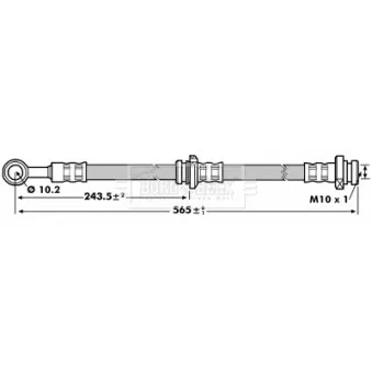 Flexible de frein BORG & BECK BBH7141