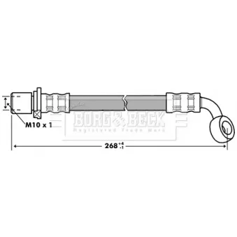 Flexible de frein BORG & BECK BBH7284
