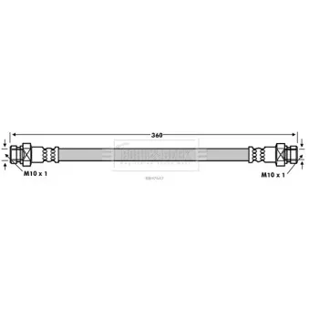 Flexible de frein BORG & BECK BBH7647