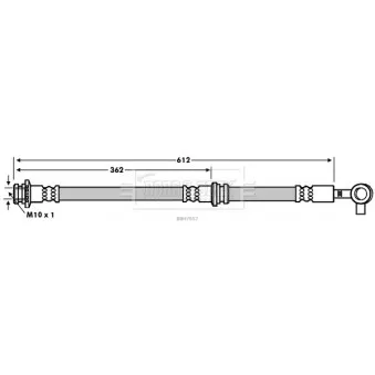Flexible de frein BORG & BECK BBH7657