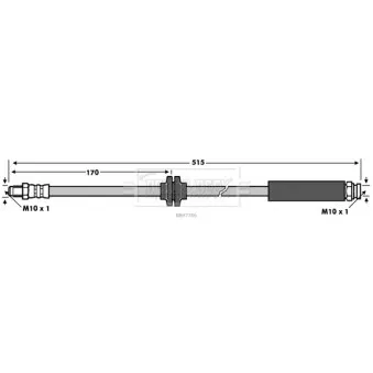 Flexible de frein BORG & BECK BBH7766