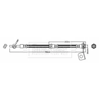 Flexible de frein BORG & BECK BBH7796