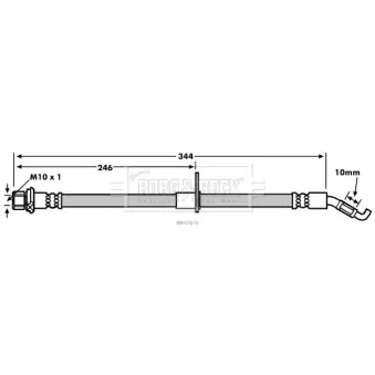 Flexible de frein BORG & BECK BBH7876