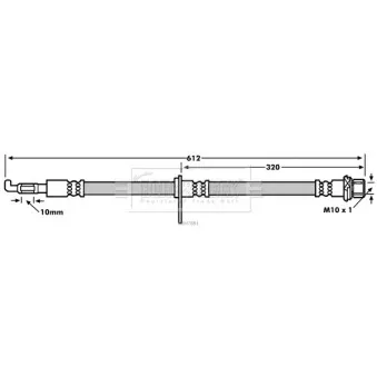 Flexible de frein BORG & BECK