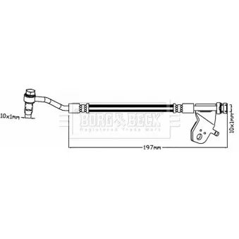 Flexible de frein BORG & BECK BBH8175